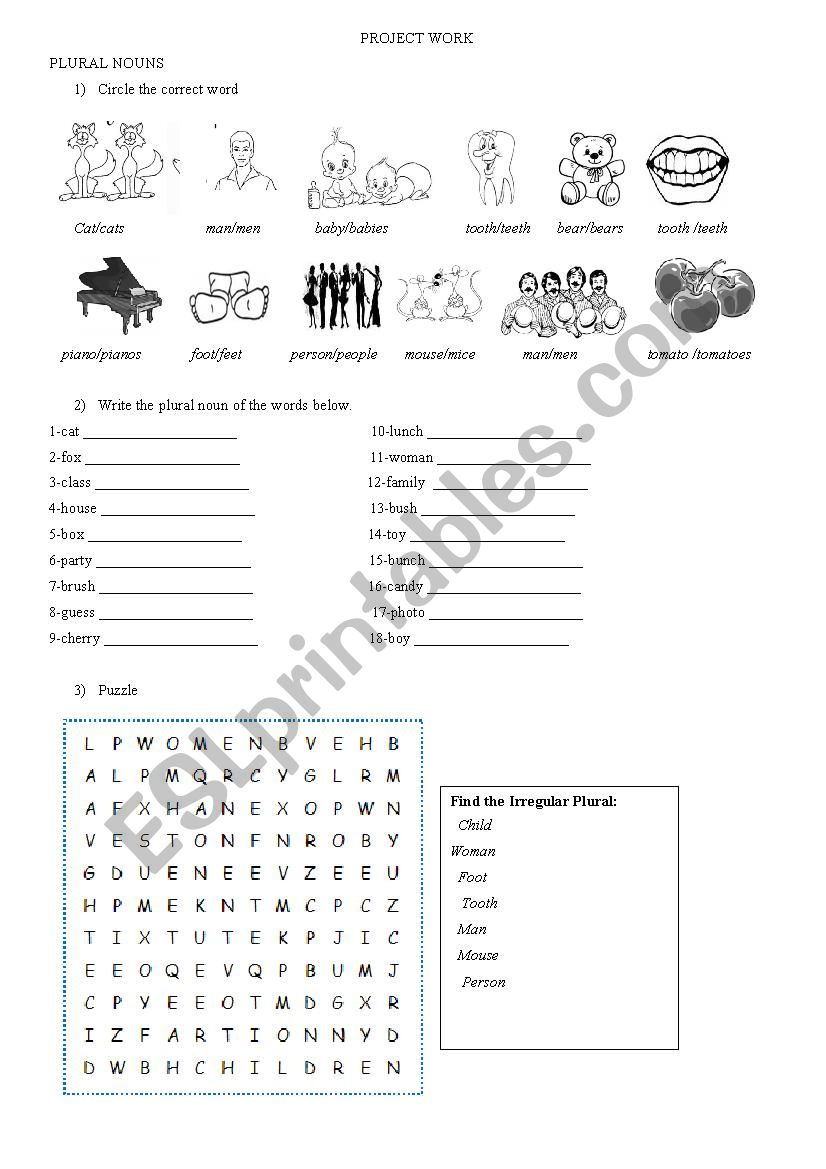 plural nouns worksheet