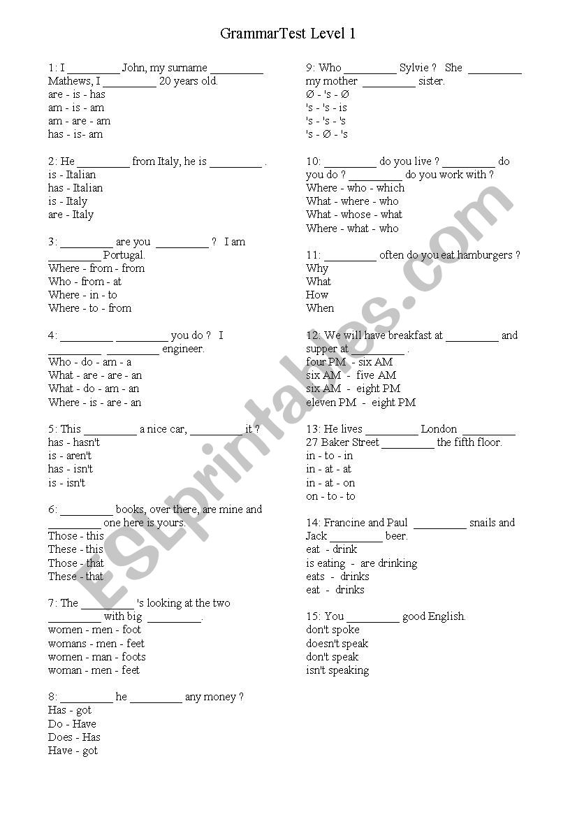 Grammar Test Level 1 worksheet