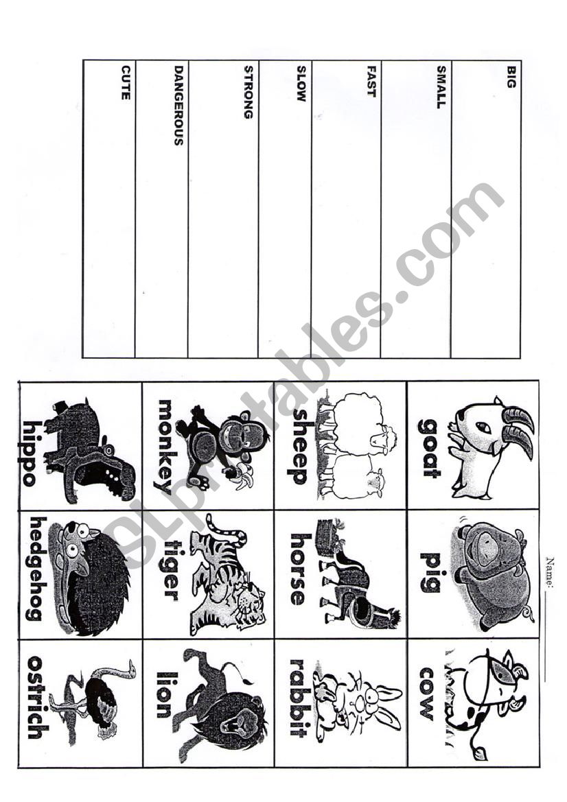 animals worksheet