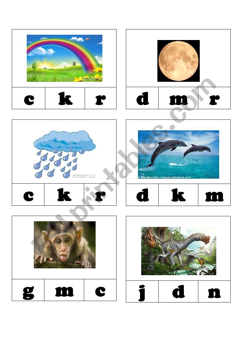 Beginning Sounds 1 worksheet