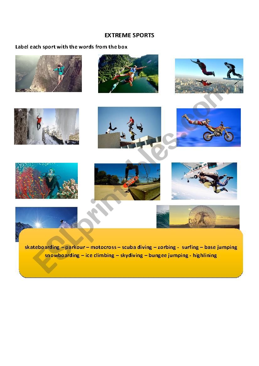 Extreme Sports worksheet