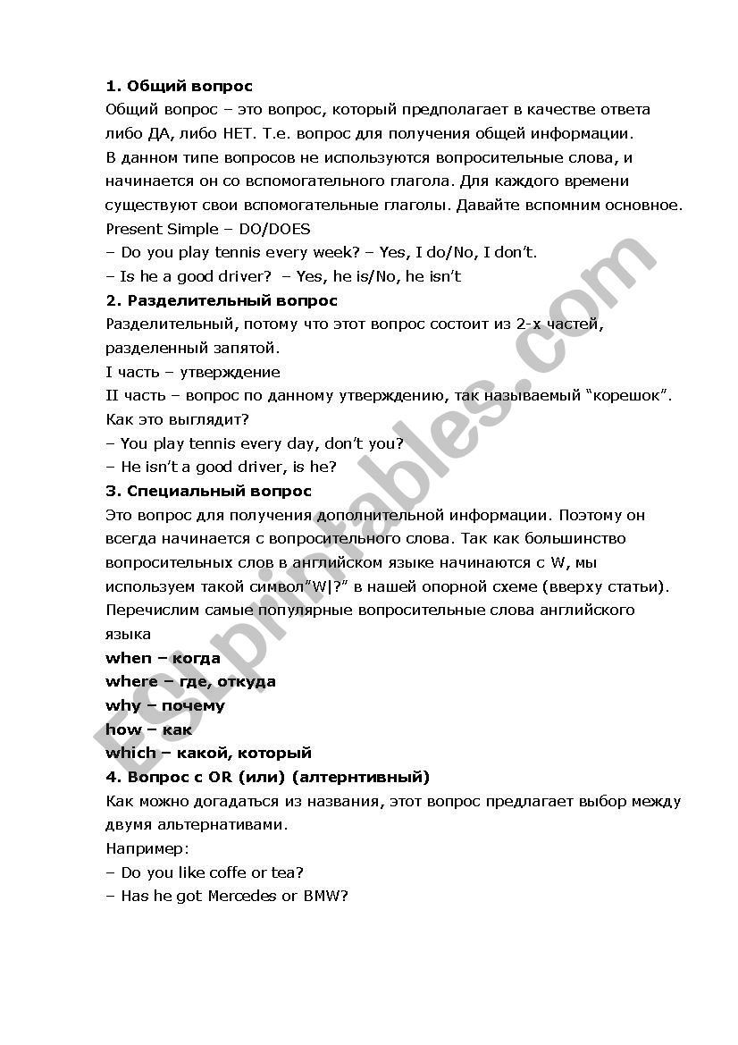 W questions worksheet