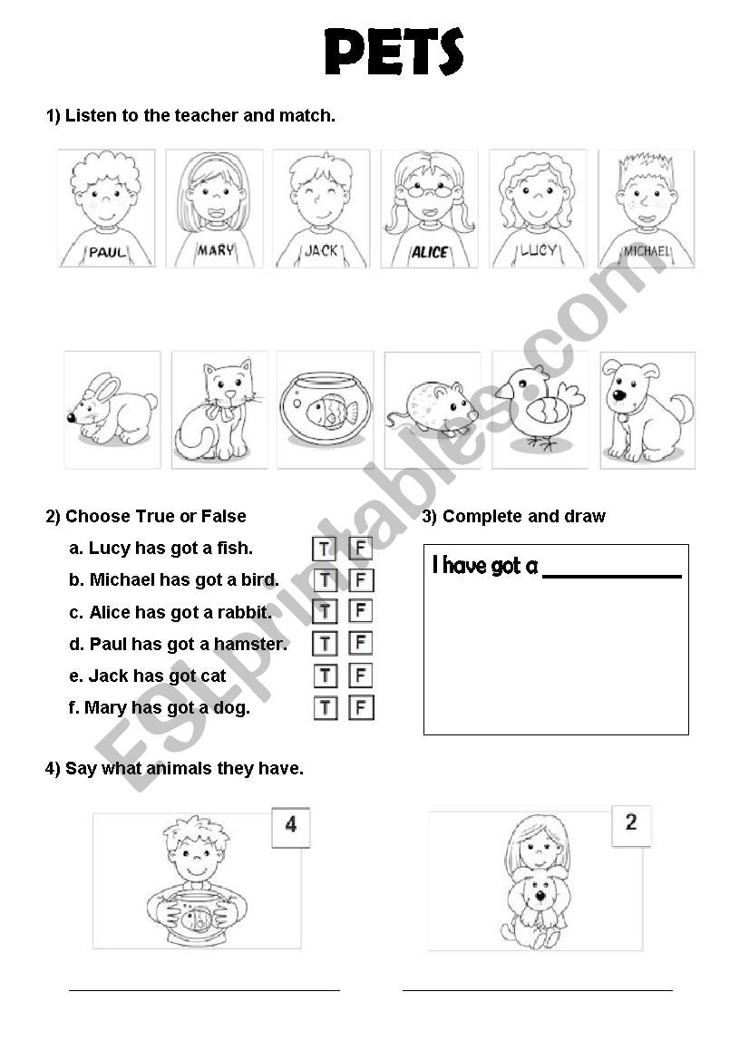 Pets worksheet