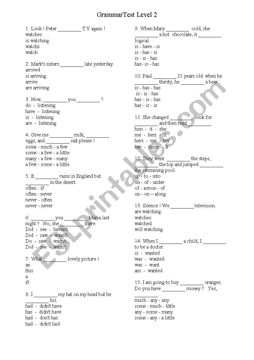 Grammar Test Level 2 worksheet