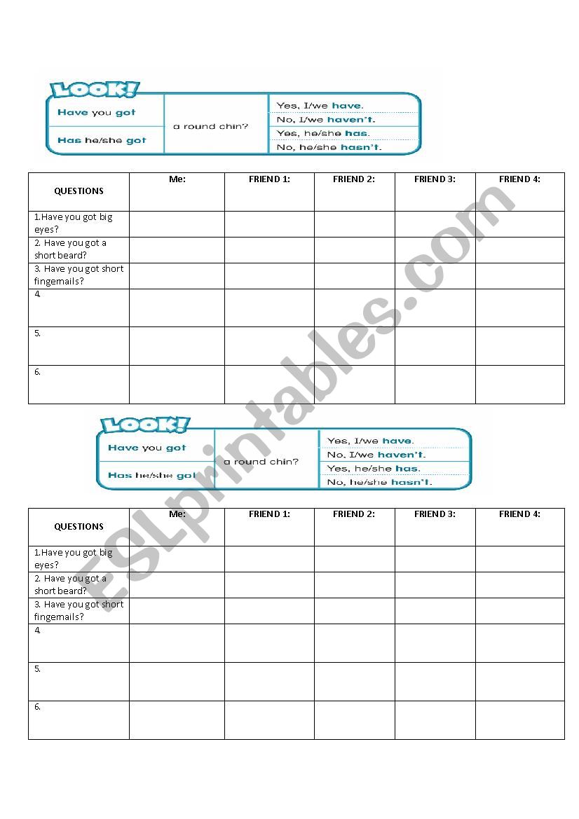 Have you got.....? worksheet