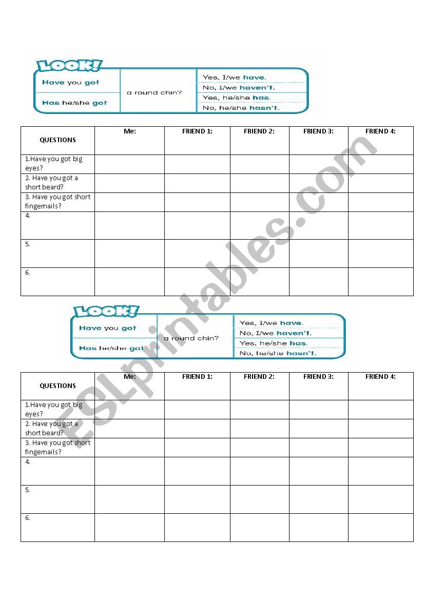 Have you got.....? worksheet