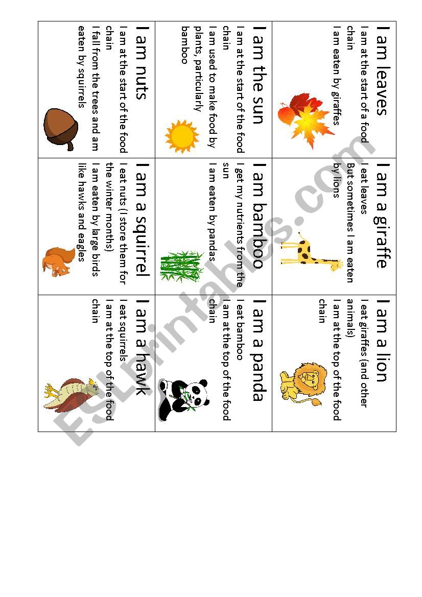 Food Chain Cards 01 worksheet