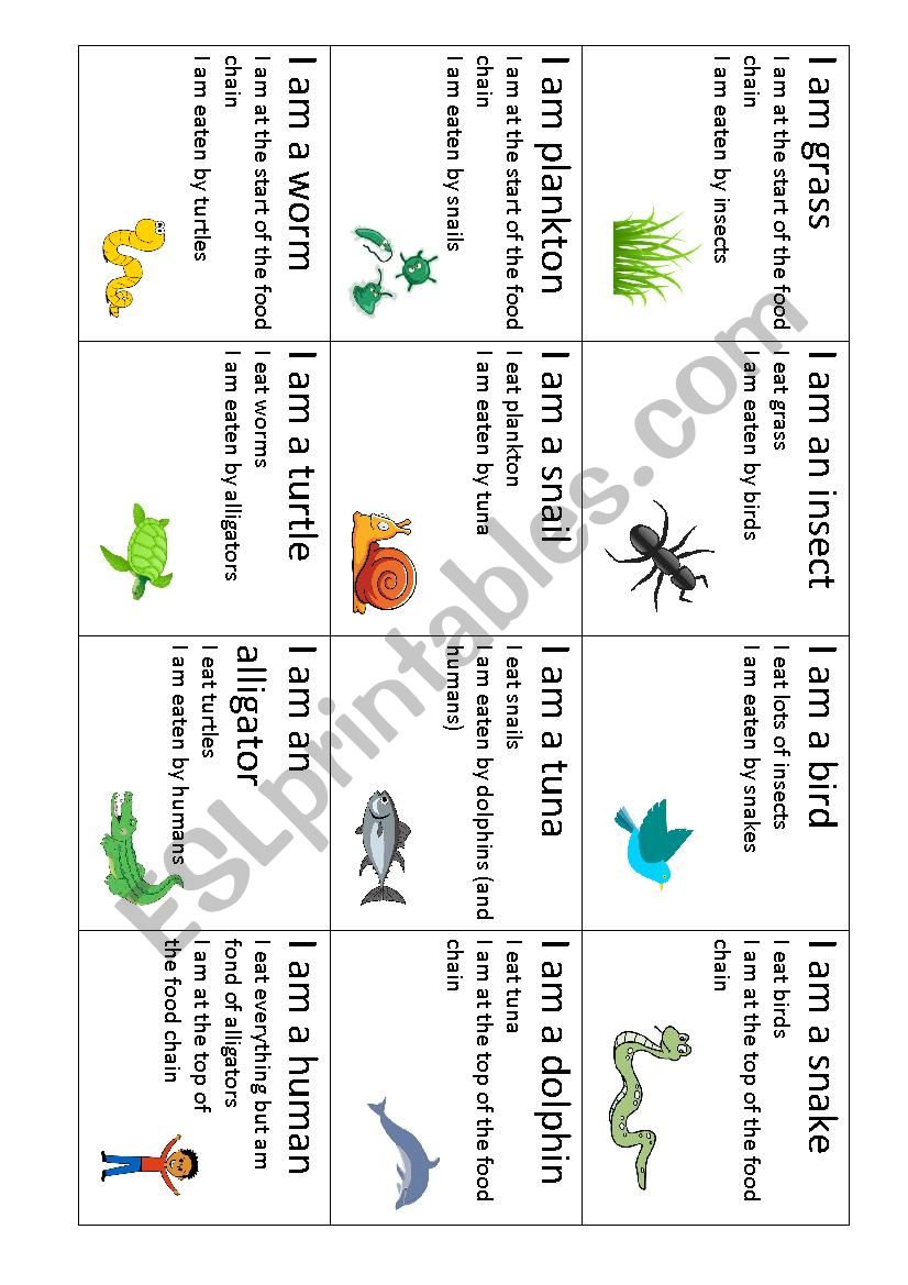 Food Chain Cards 02 worksheet
