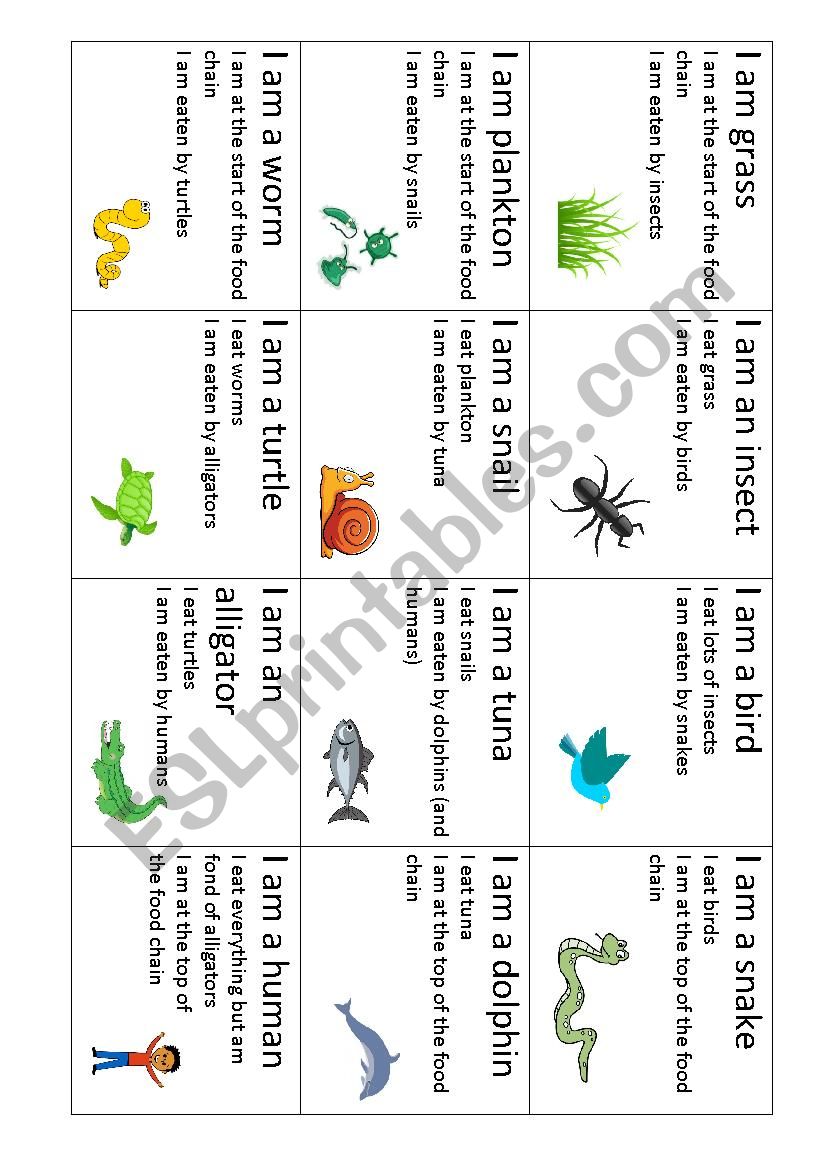 food-chain-cards-02-esl-worksheet-by-hatz102