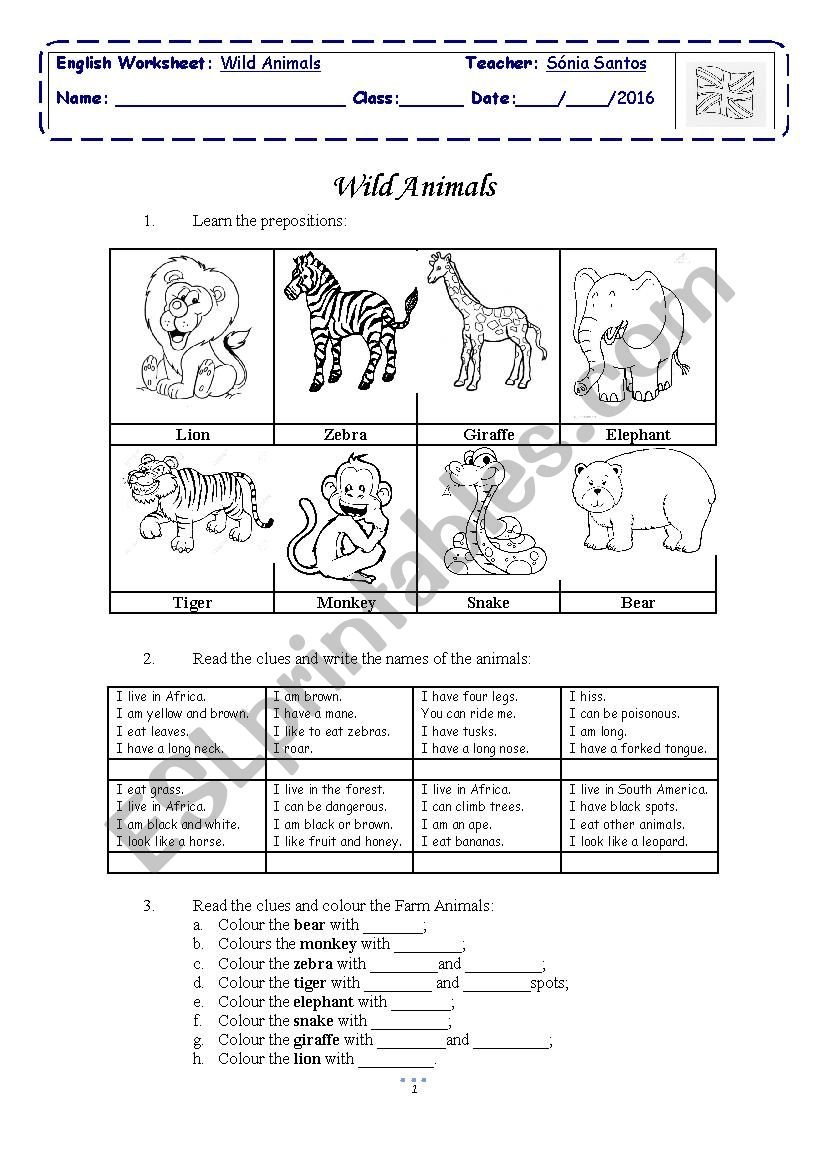 Wild Animals worksheet