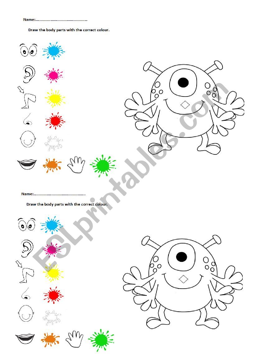 Body parts-colour worksheet