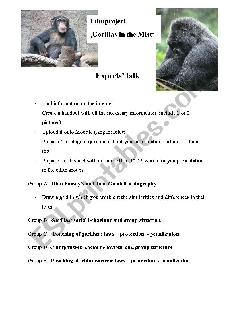 Gorilla in the mist worksheet