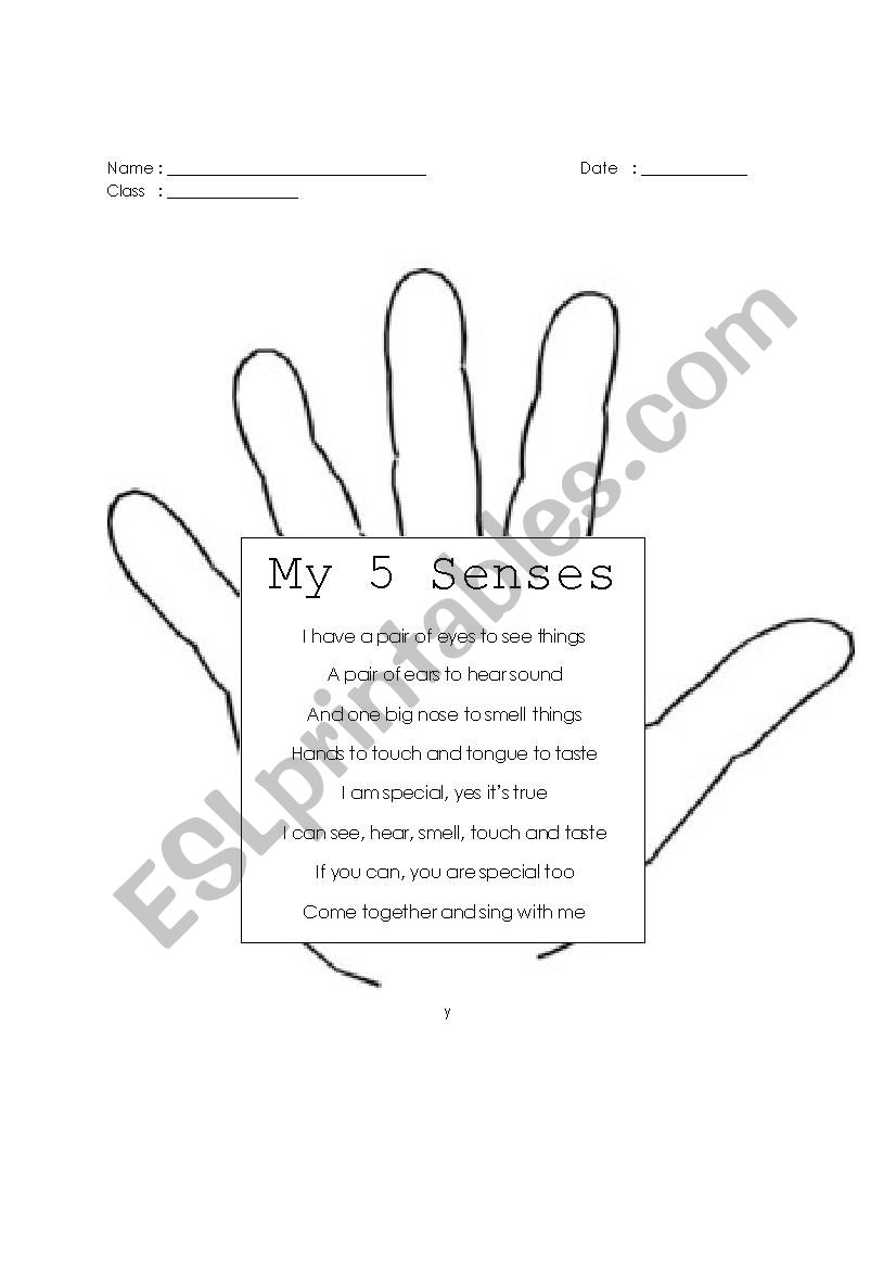 Five Senses worksheet worksheet