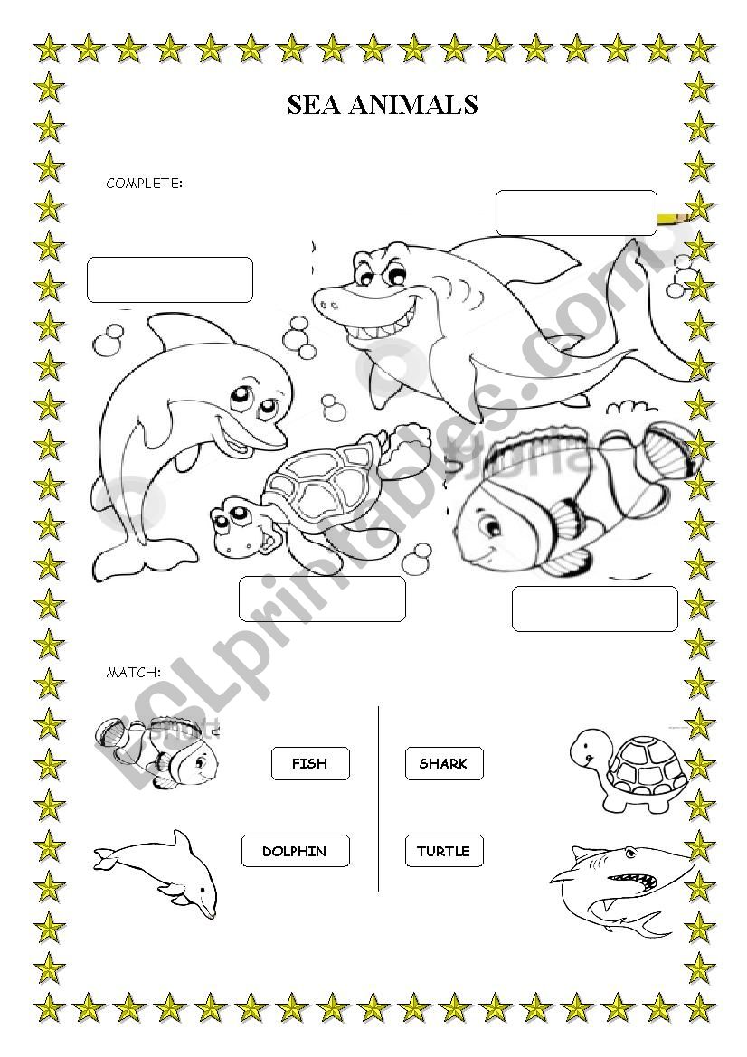 SEA ANIMALS worksheet