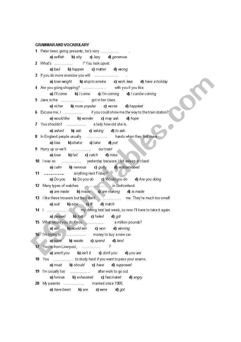 B1 test - Grammar and vocab worksheet