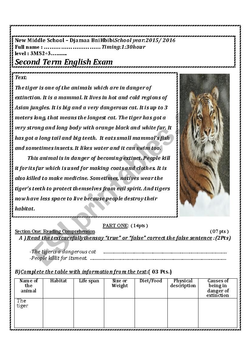 the tigers worksheet