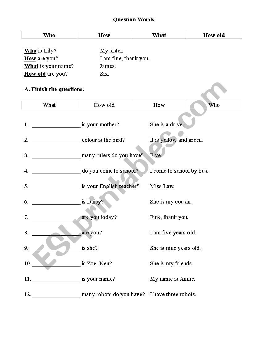 Question words worksheet