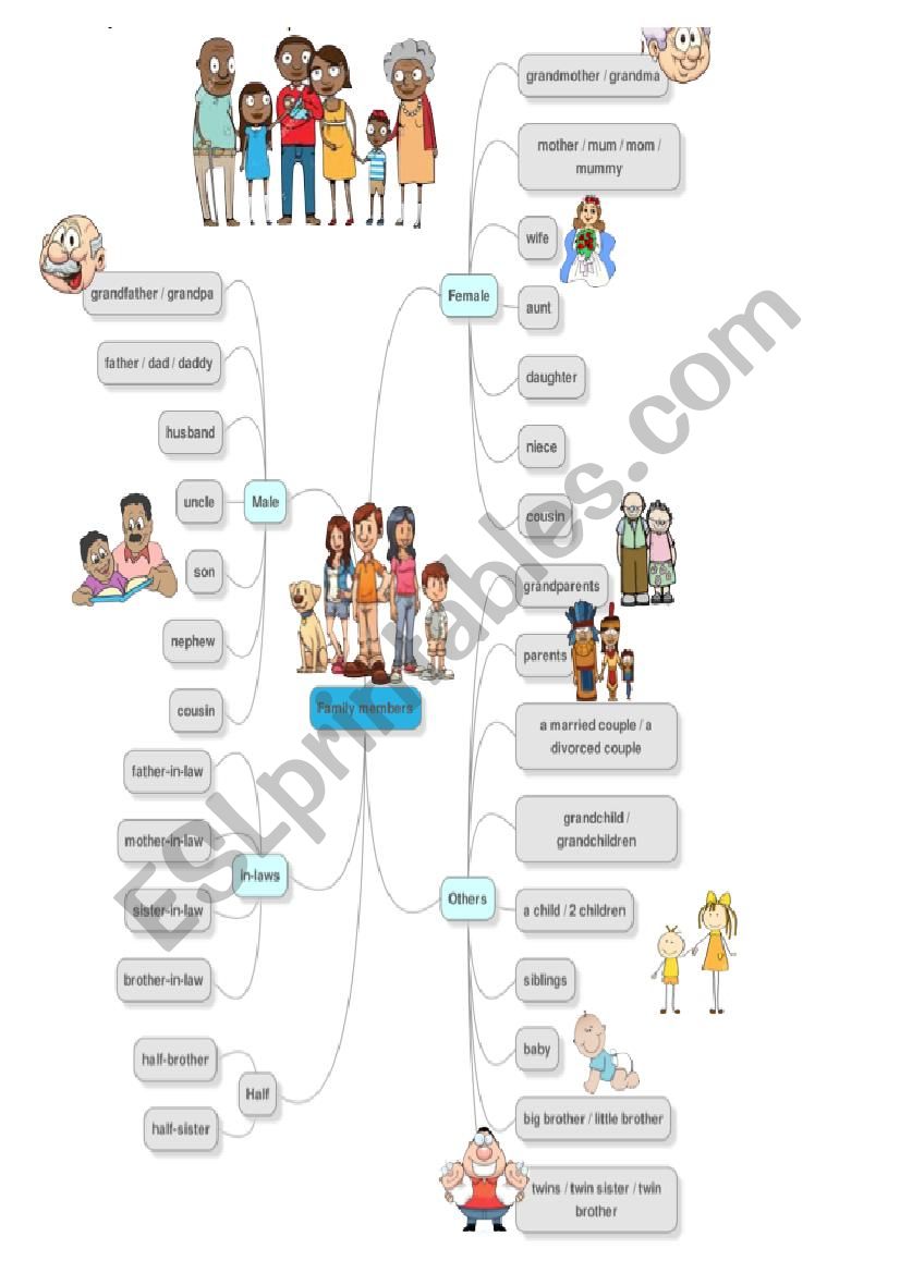 Family Vocabulary Mindmap worksheet