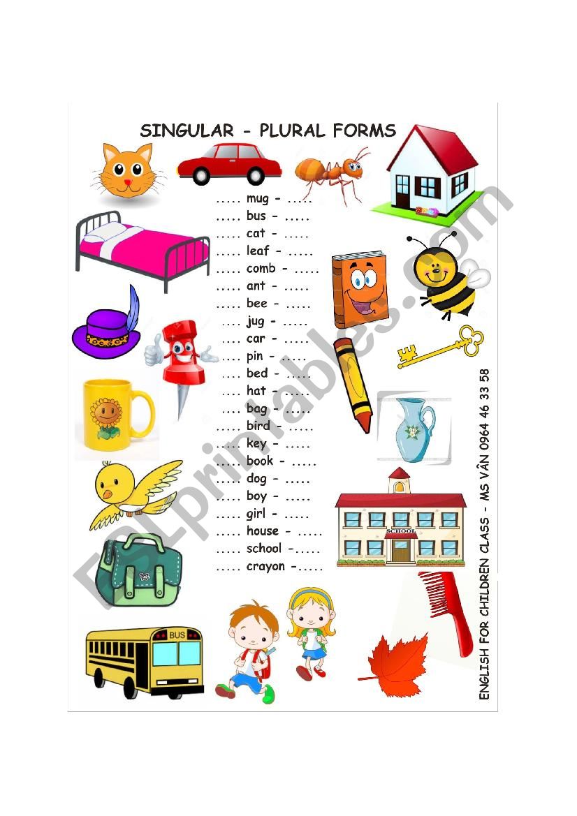 Singular Plural Forms worksheet