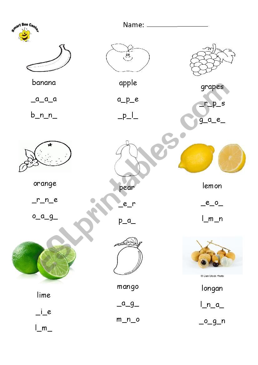 fruit worksheet