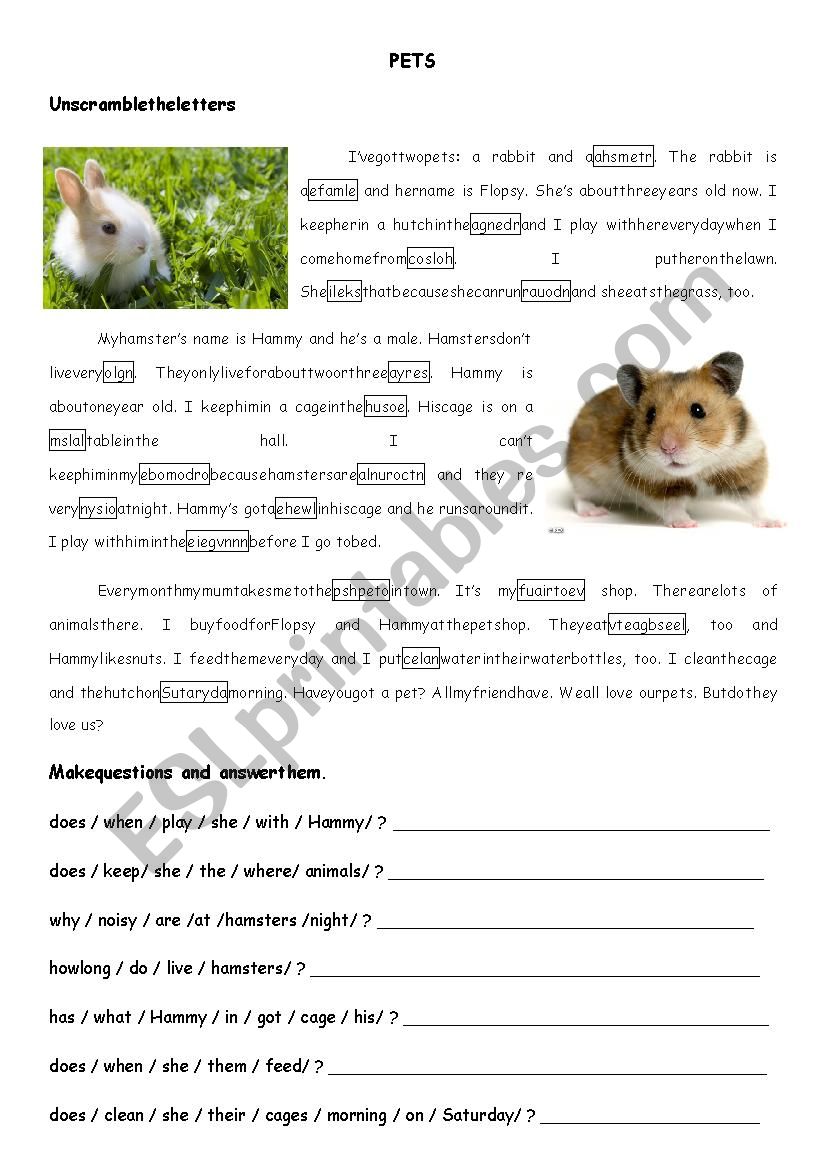 Pets (a rabbit and a hamster) worksheet
