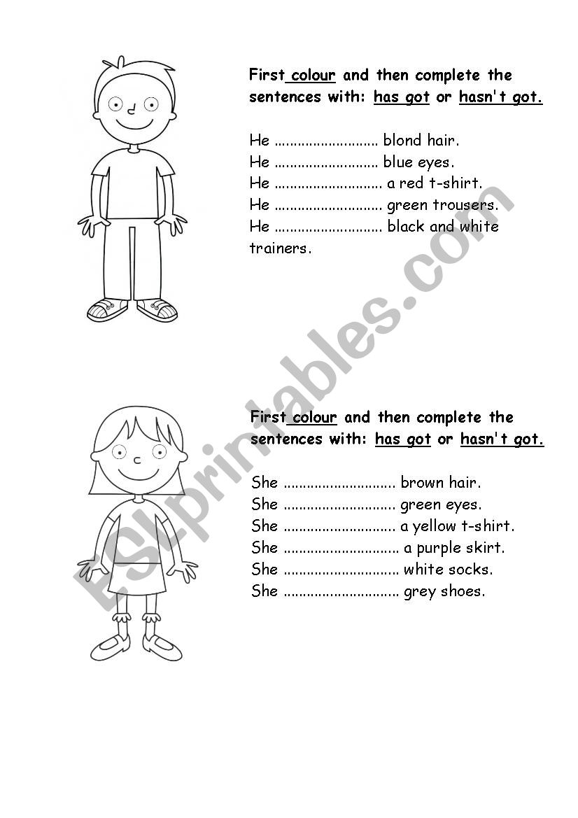 has got/hasnÂ´t got worksheet