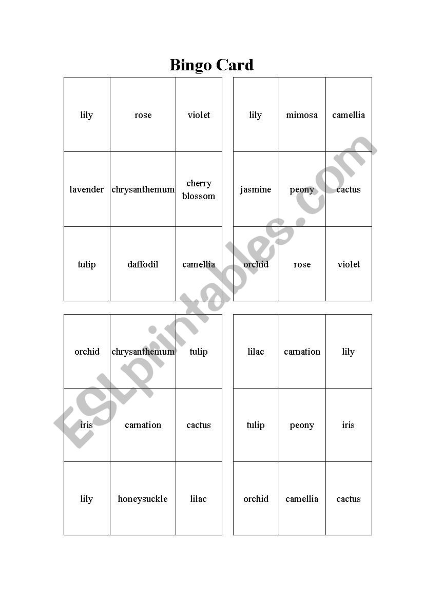 Bingo Card  worksheet
