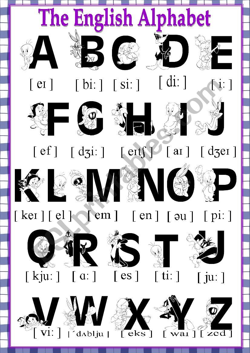 The English Alphabet worksheet