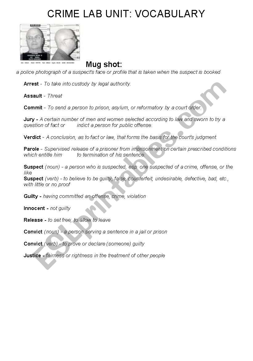 Crime Lab Unit worksheet