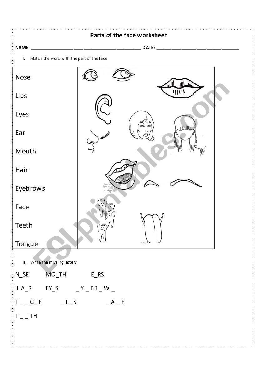 Parts of the body worksheet