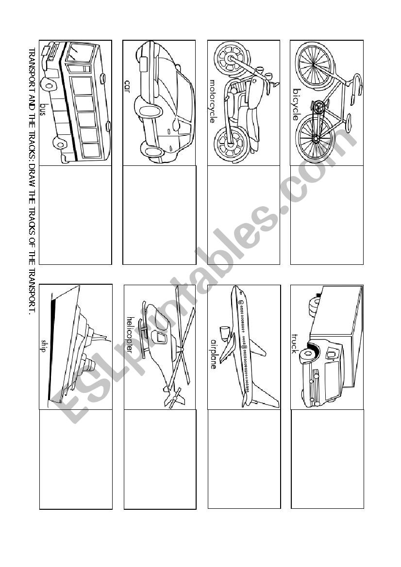 Transport worksheet