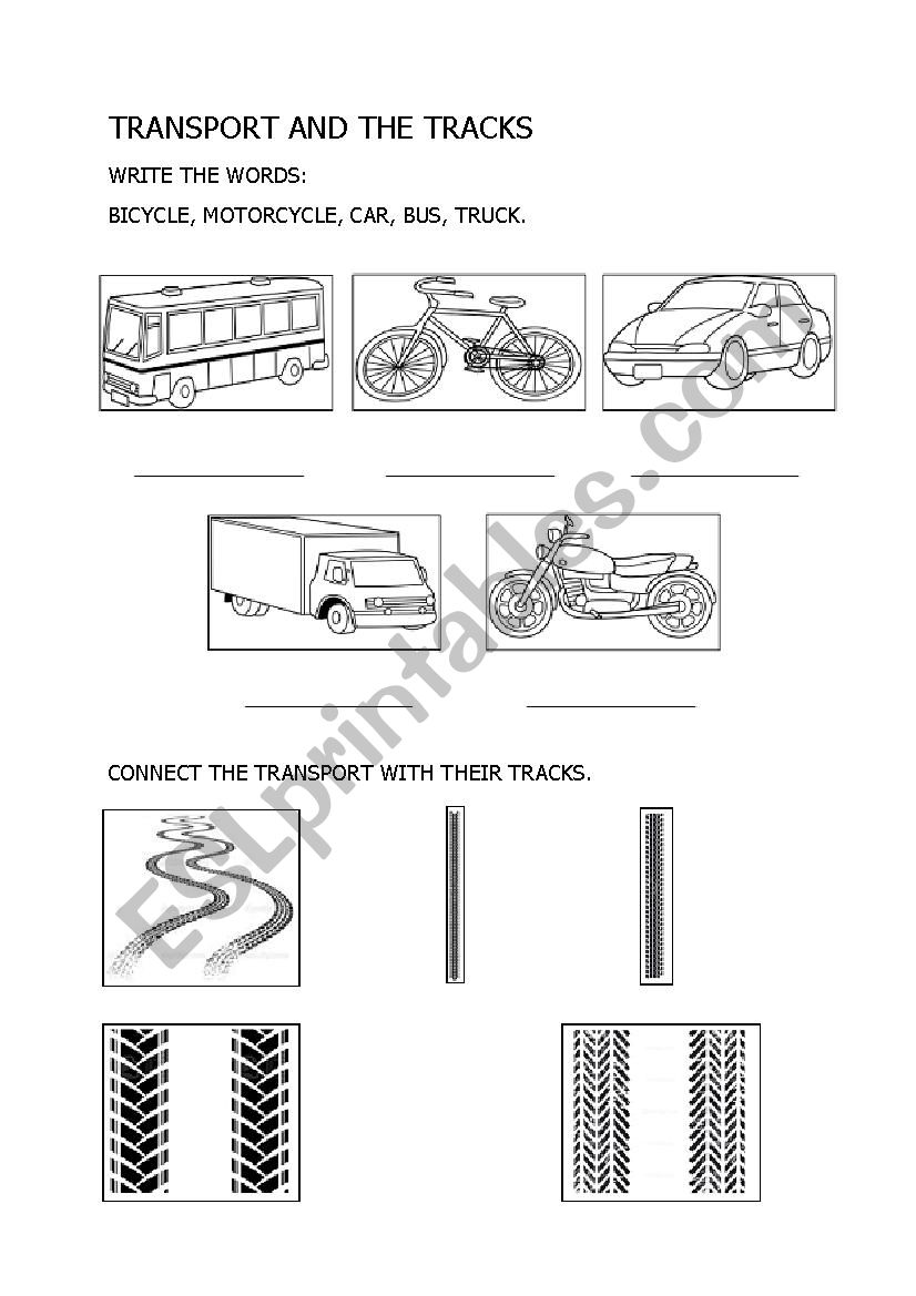 Transport and tracks worksheet