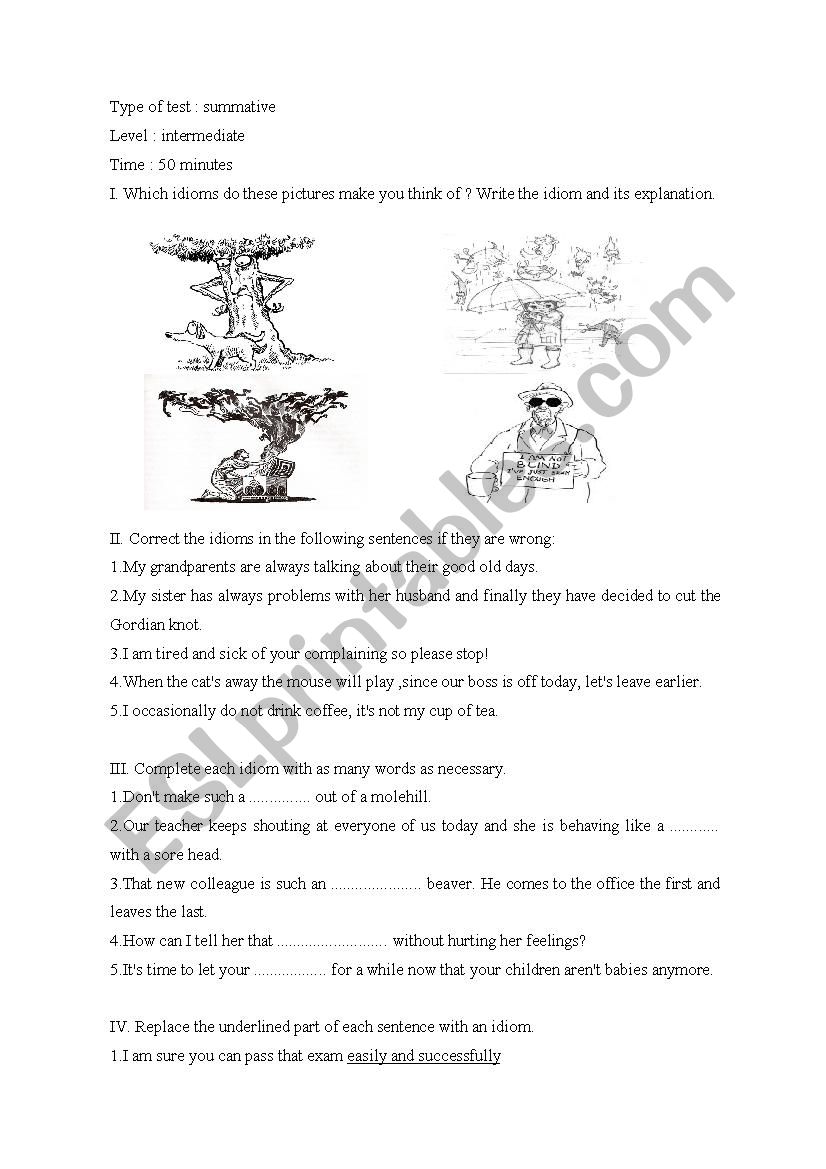 summative test worksheet