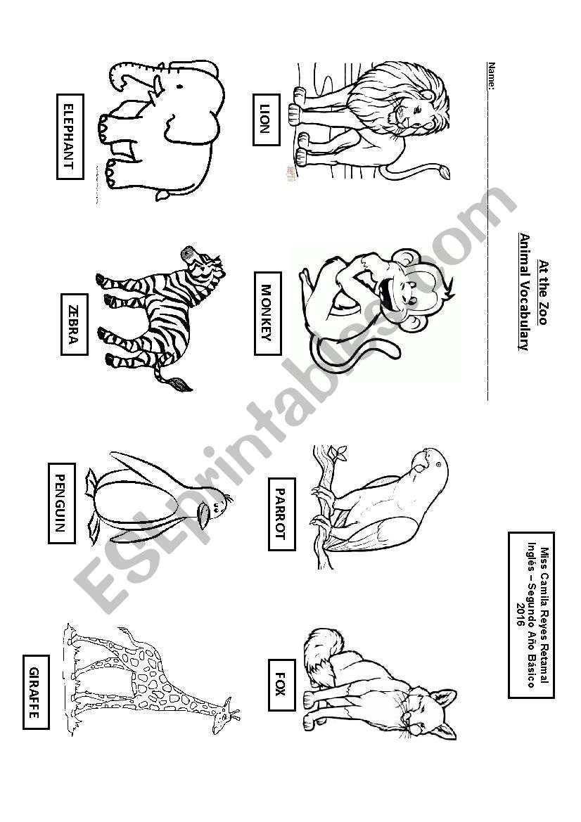 Animals worksheet