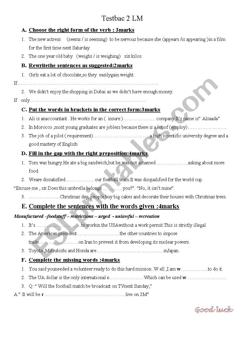 GRAMMAR AND VOCABULARY TEST worksheet