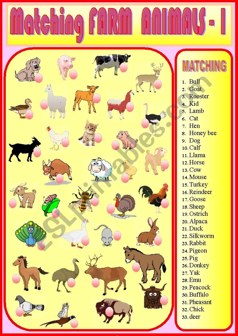 Matching Farm Animals 1  worksheet