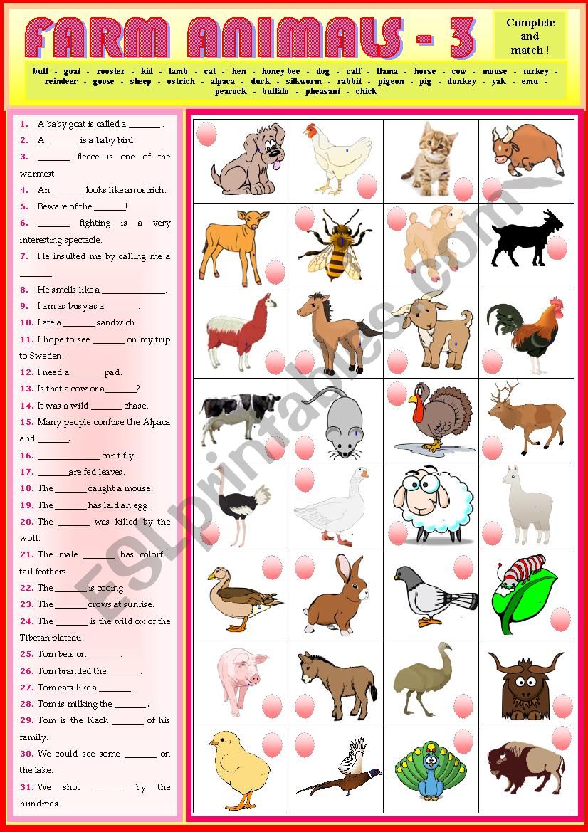 Animal Sentences Worksheet