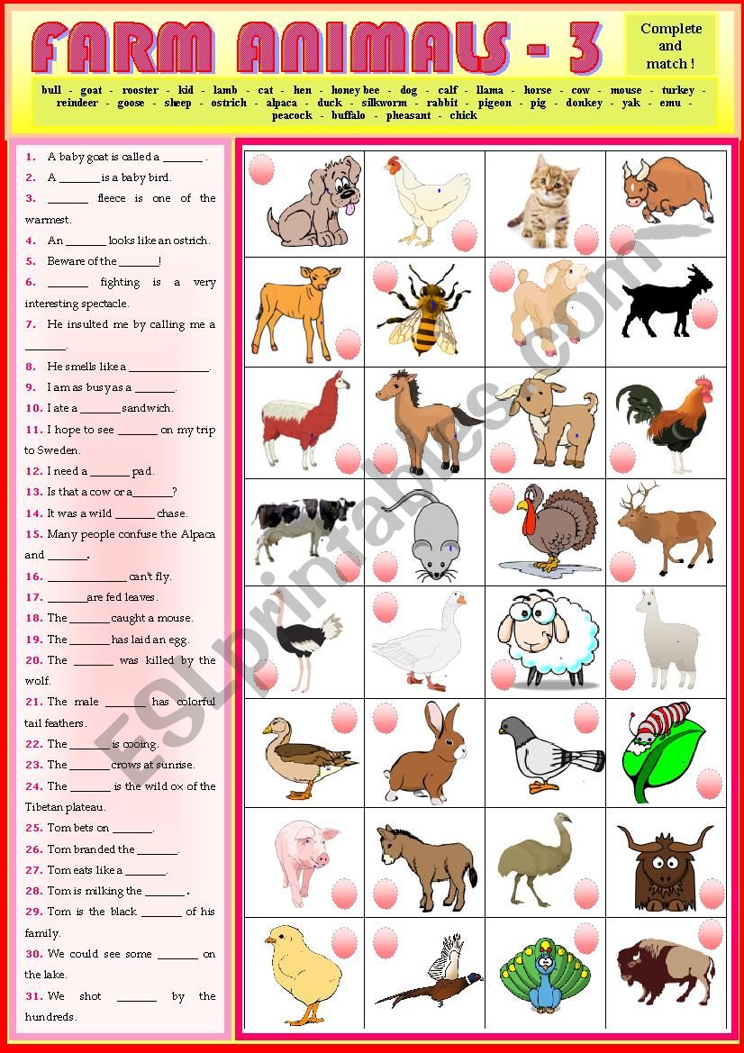 Match The Sentences With The Farm Animals 3 ESL Worksheet By Karagozian