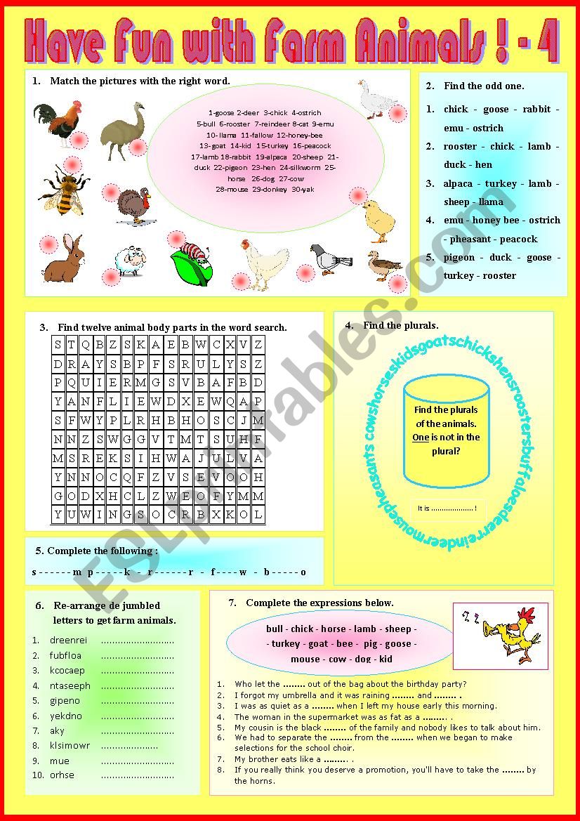 Have fun with animals 4 + KEY worksheet