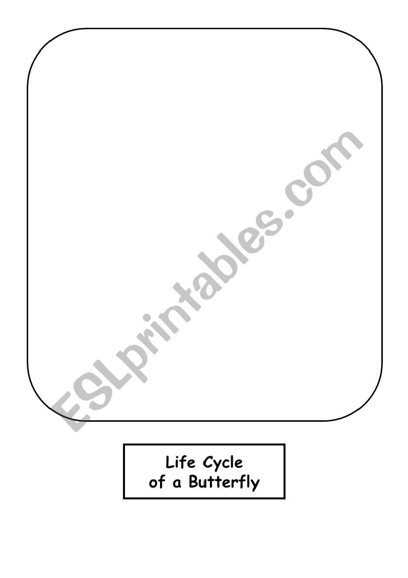 Buterfly cycle worksheet