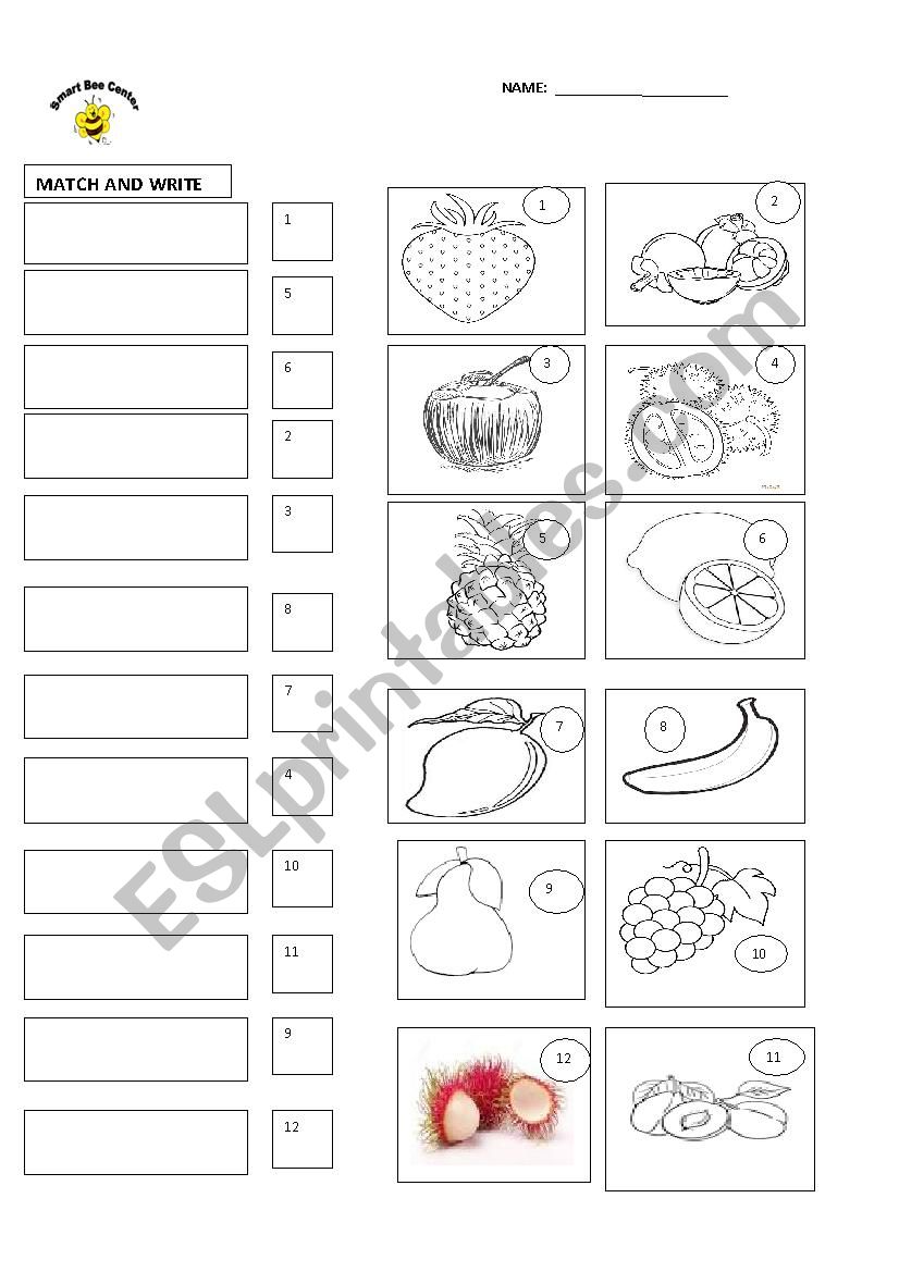 fruit worksheet