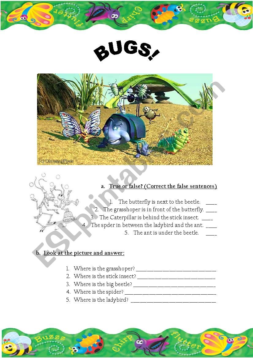 Bugs worksheet