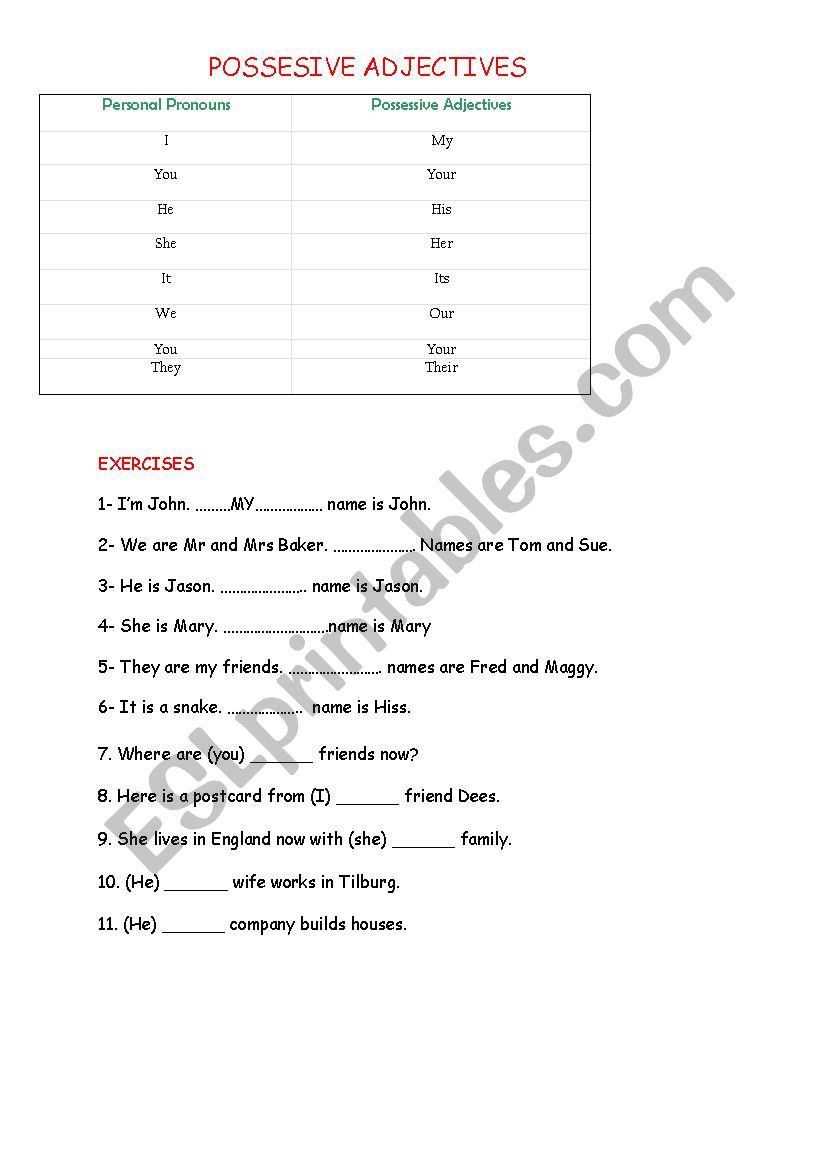 POSSESSIVE ADJECTIVES worksheet