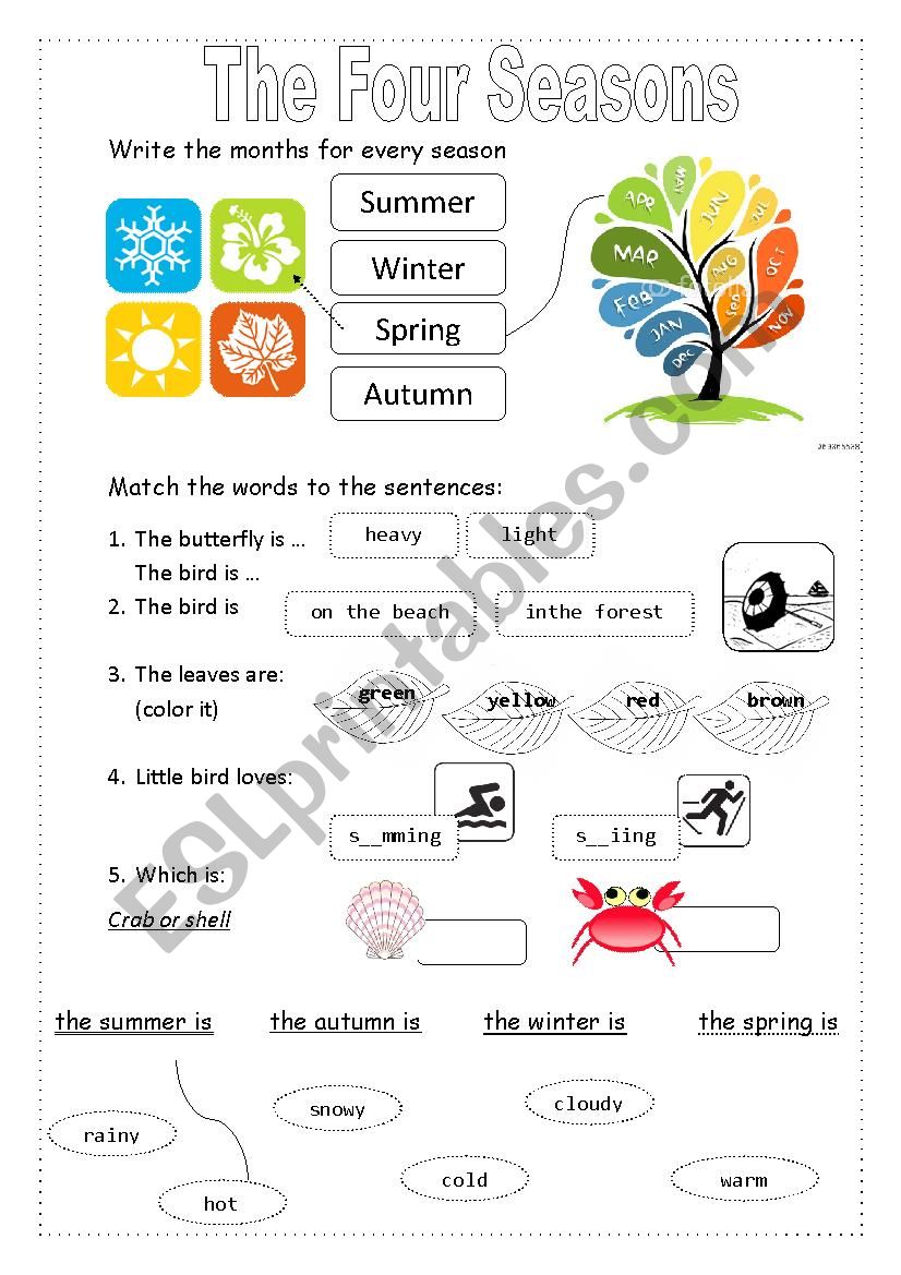 The Four Seasons worksheet