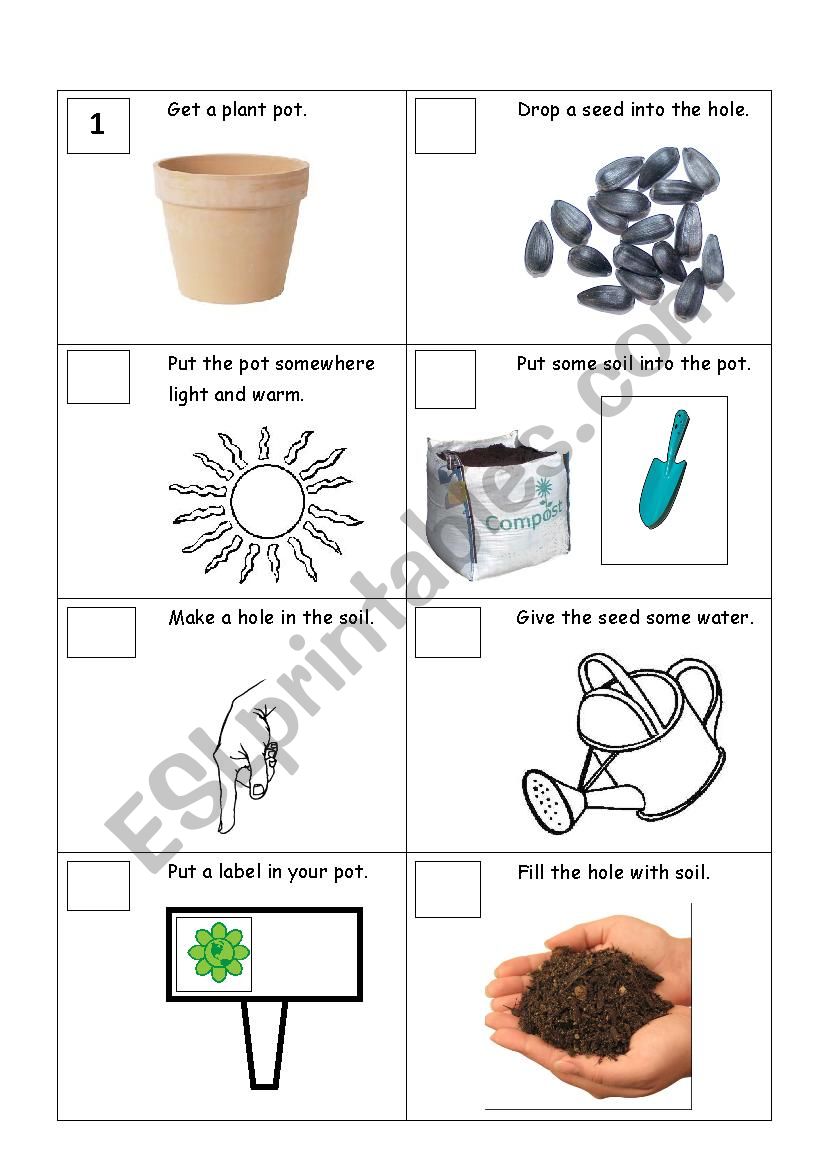 PLANTING A SEED worksheet