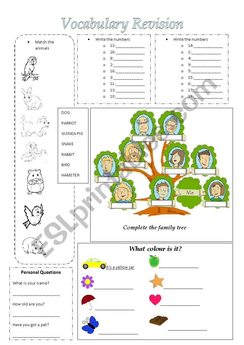 Vocabulary Revision for Kids worksheet