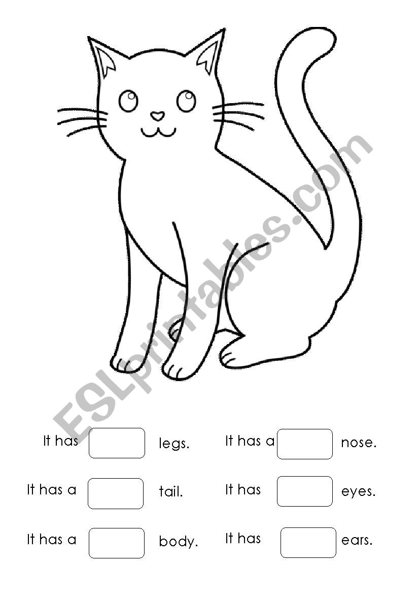 Winnie & the Cat Coloring WS worksheet