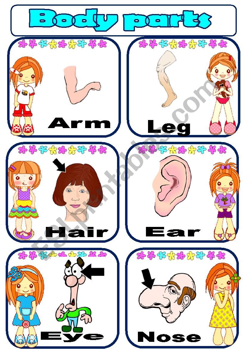 Body Parts - Part 1 worksheet