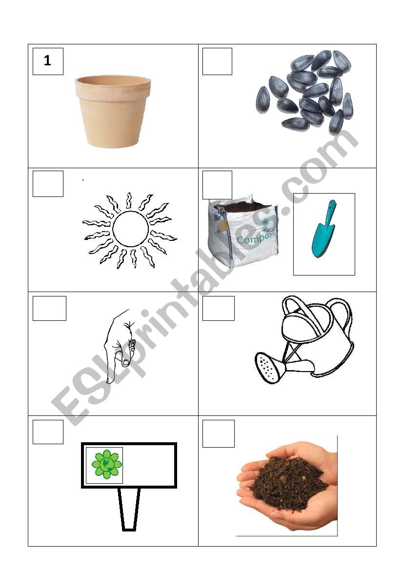PLANTING A SEED WORKSHEET WITH BLANKS TO FILL IN WITH SENTENCES - ESL