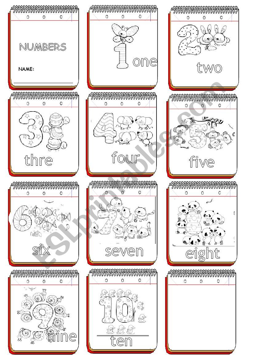 SMALL BOOK OF THE NUMBERS.  worksheet